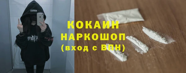 сатива Арсеньев