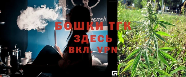 сатива Арсеньев