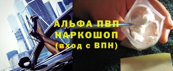 сатива Арсеньев